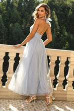 Load image into Gallery viewer, Womens Dress-Halter Neck Backless Mesh Dress | Dresses